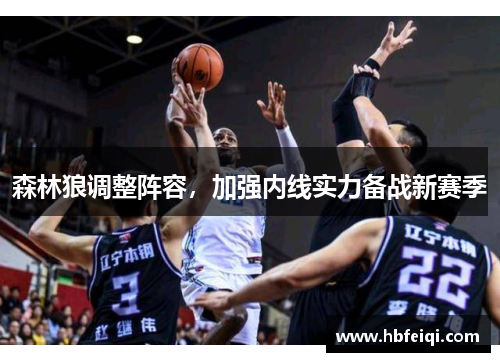 森林狼调整阵容，加强内线实力备战新赛季